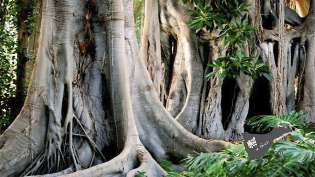 Jardin De Aclimatacion 1024x576