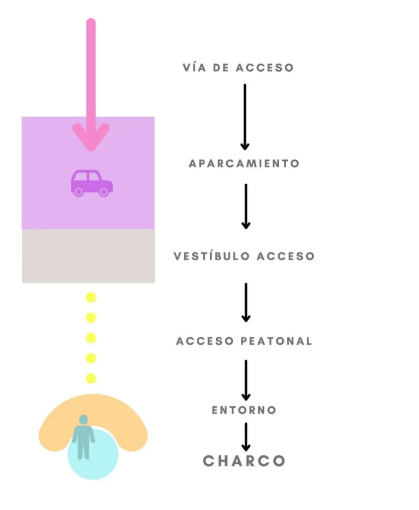 actuaciones charcos de marea