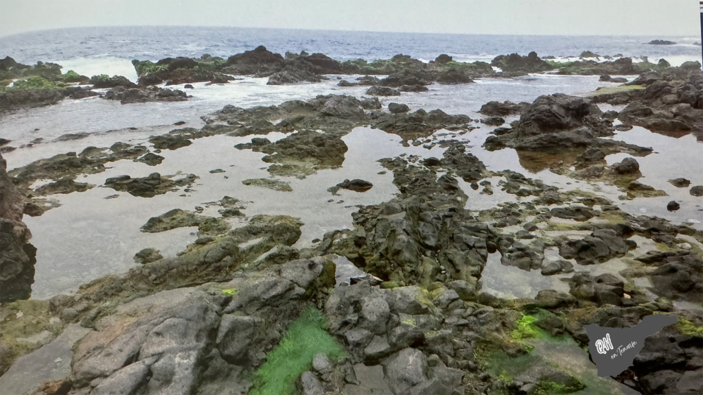 Charco de San Telmo en el Puerto de La Cruz